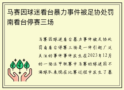 马赛因球迷看台暴力事件被足协处罚南看台停赛三场