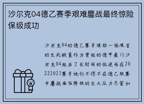 沙尔克04德乙赛季艰难鏖战最终惊险保级成功